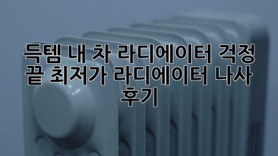 득템! 내 차 라디에이터 걱정 끝! 최저가 라디에이터 나사 후기