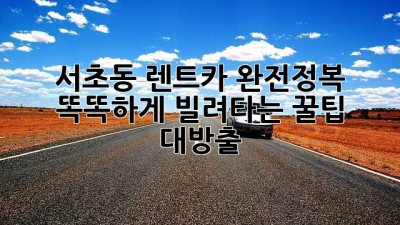서초동 렌트카 완전정복 🚗💨: 똑똑하게 빌려타는 꿀팁 대방출!