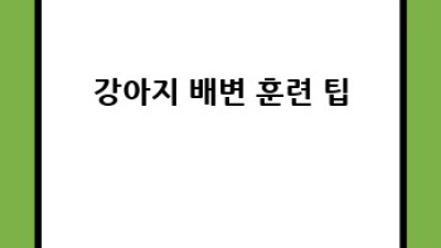 강아지 소변 훈련 완벽 가이드