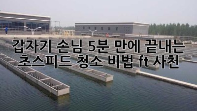 ✨ 갑자기 손님?! 5분 만에 끝내는 초스피드 청소 비법! (ft. 사천) 🏡