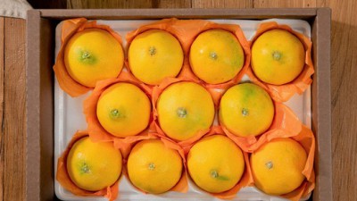 놓치면 후회! 🍊 제주 황금향 선물세트 후기 & 꿀팁 대방출!
