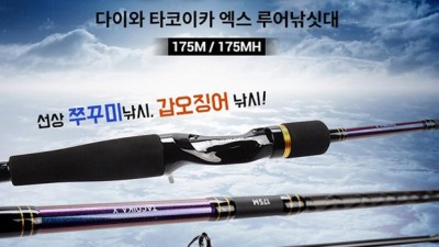 다이와 타코이카 🎣 꿀팁 대방출! (솔직 후기 & 할인 정보)